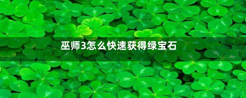 巫师3怎么快速获得绿宝石