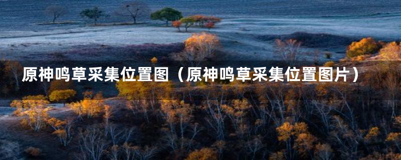 原神鸣草采集位置图（原神鸣草采集位置图片）