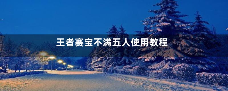 王者赛宝不满五人使用教程