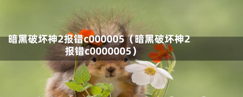 暗黑破坏神2报错c000005（暗黑破坏神2报错c0000005）