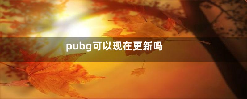 pubg可以现在更新吗