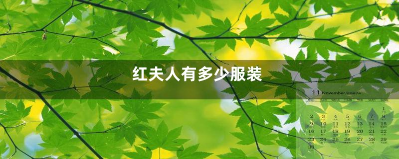 红夫人有多少服装