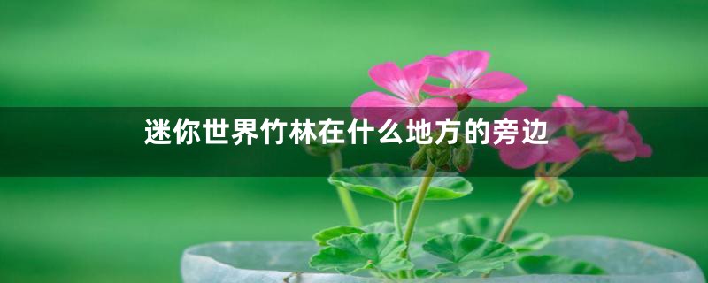 迷你世界竹林在什么地方的旁边