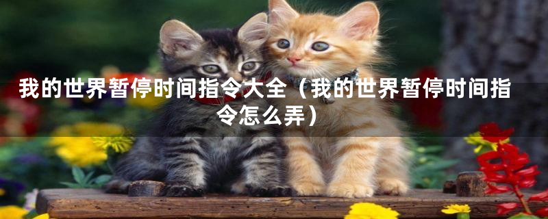 我的世界暂停时间指令大全（我的世界暂停时间指令怎么弄）