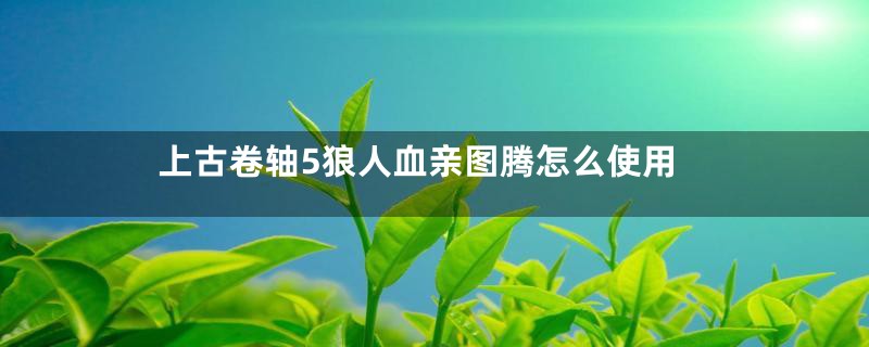上古卷轴5狼人血亲图腾怎么使用