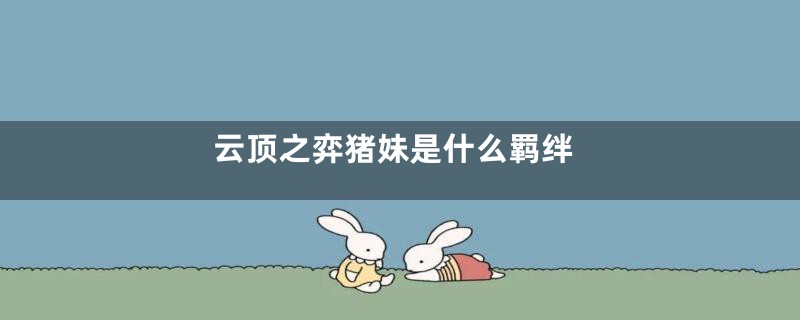 云顶之弈猪妹是什么羁绊
