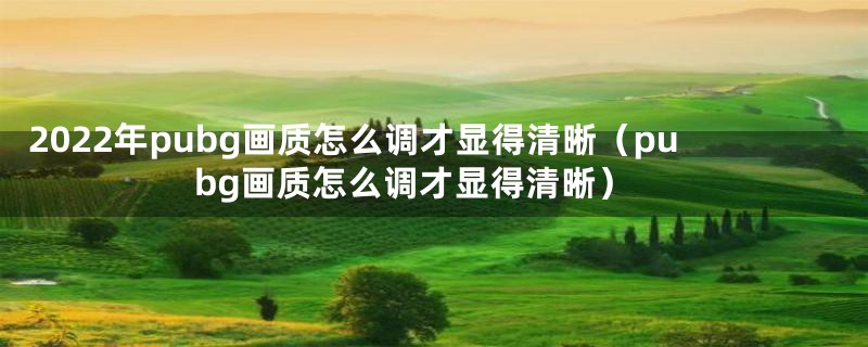 2022年pubg画质怎么调才显得清晰（pubg画质怎么调才显得清晰）