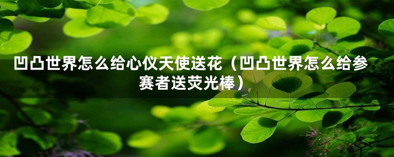 凹凸世界怎么给心仪天使送花(凹凸世界怎么给参赛者送荧光棒)