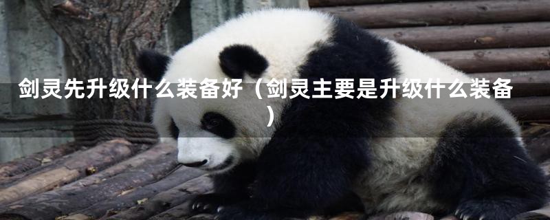 剑灵先升级什么装备好（剑灵主要是升级什么装备）