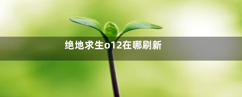 绝地求生o12在哪刷新