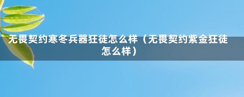 无畏契约寒冬兵器狂徒怎么样(无畏契约紫金狂徒怎么样)