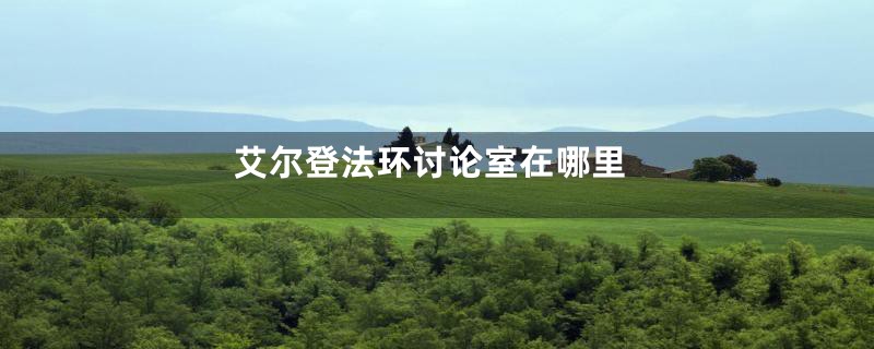 艾尔登法环讨论室在哪里