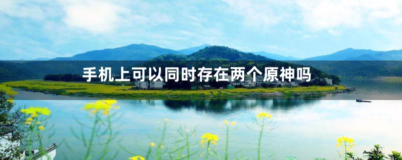 手机上可以同时存在两个原神吗