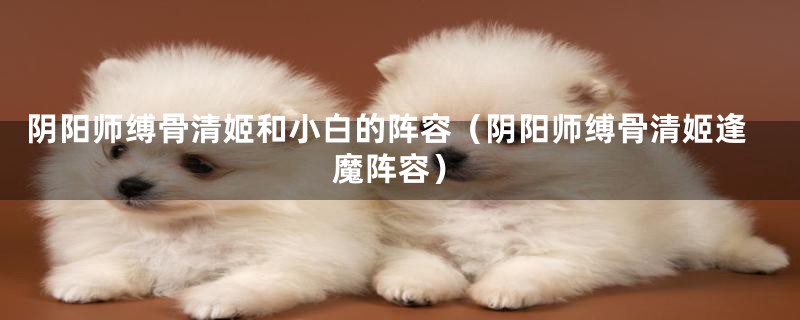 阴阳师缚骨清姬和小白的阵容（阴阳师缚骨清姬逢魔阵容）