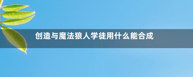 创造与魔法狼人学徒用什么能合成