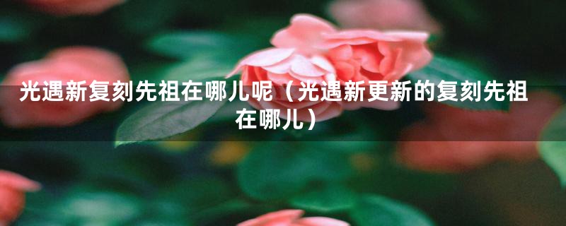 光遇新复刻先祖在哪儿呢（光遇新更新的复刻先祖在哪儿）