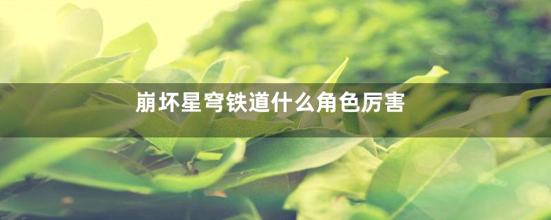 崩坏星穹铁道什么角色厉害