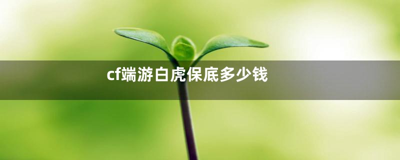 cf端游白虎保底多少钱