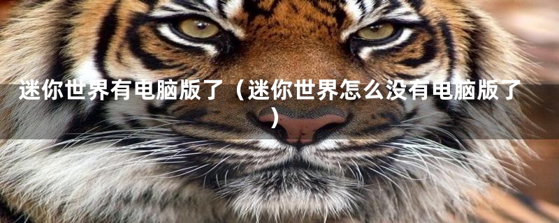 迷你世界有电脑版了（迷你世界怎么没有电脑版了）