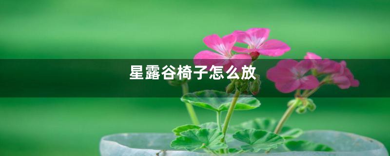 星露谷椅子怎么放