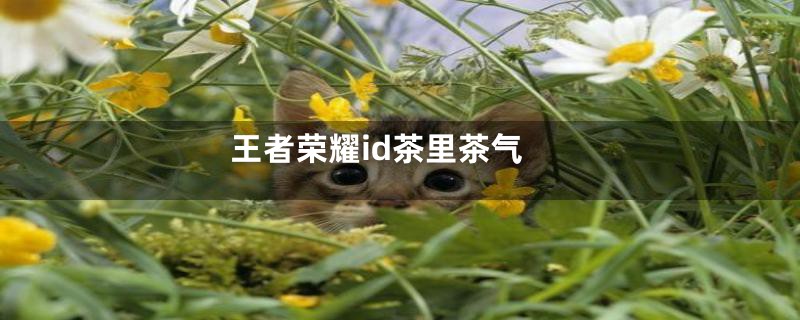 王者荣耀id茶里茶气