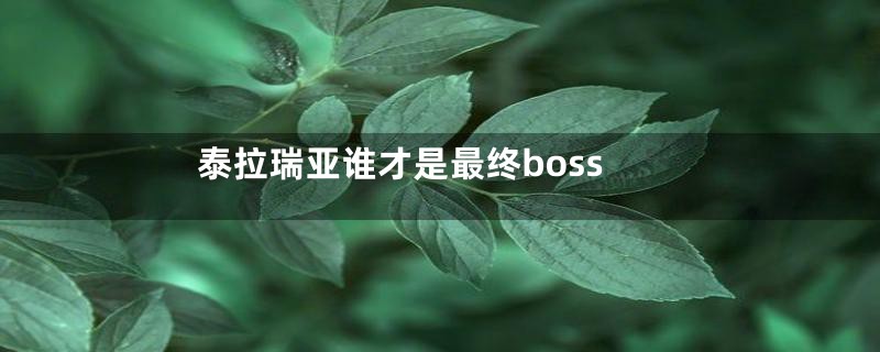 泰拉瑞亚谁才是最终boss