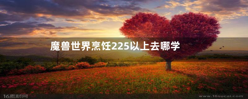 魔兽世界烹饪225以上去哪学