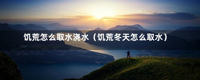 饥荒怎么取水浇水（饥荒冬天怎么取水）