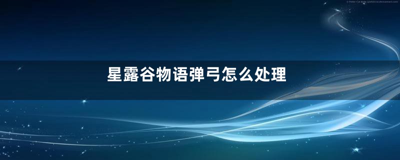 星露谷物语弹弓怎么处理