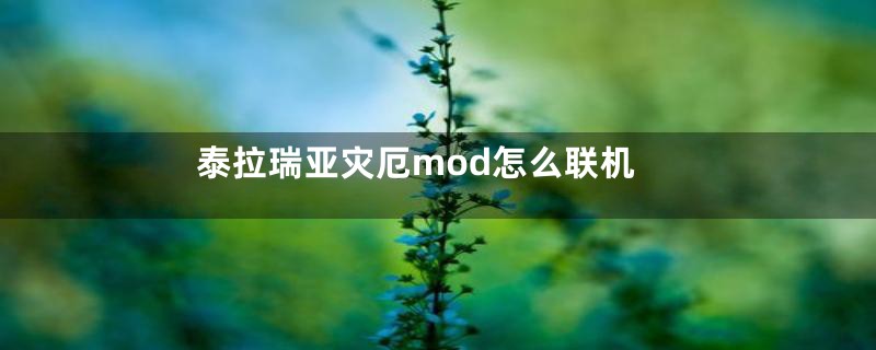 泰拉瑞亚灾厄mod怎么联机