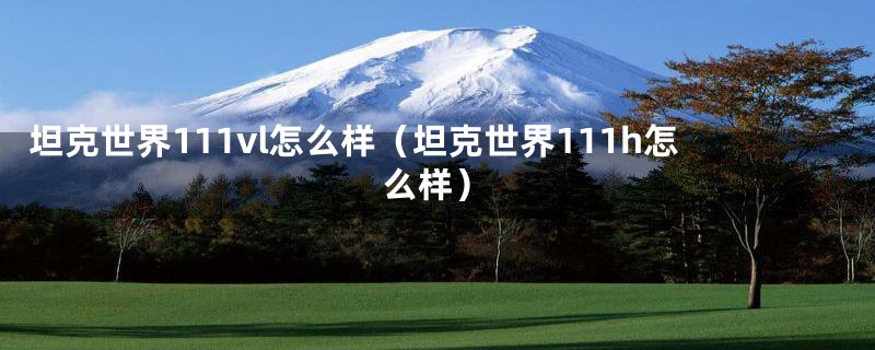 坦克世界111vl怎么样（坦克世界111h怎么样）
