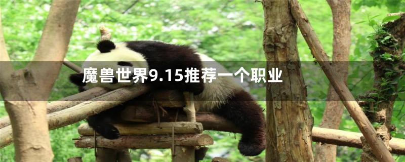 魔兽世界9.15推荐一个职业