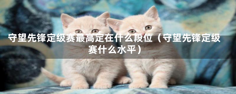 守望先锋定级赛最高定在什么段位（守望先锋定级赛什么水平）