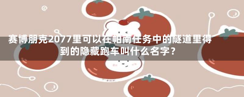 赛博朋克2077里可以在帕南任务中的隧道里得到的隐藏跑车叫什么名字?