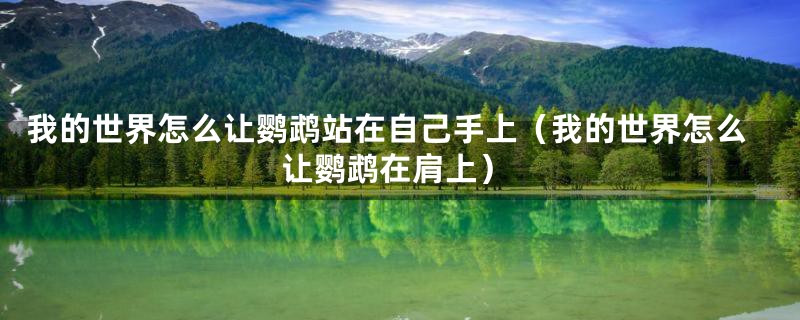 我的世界怎么让鹦鹉站在自己手上(我的世界怎么让鹦鹉在肩上)