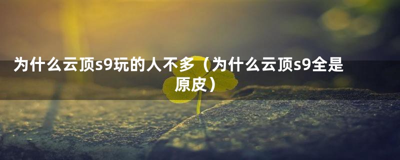 为什么云顶s9玩的人不多(为什么云顶s9全是原皮)