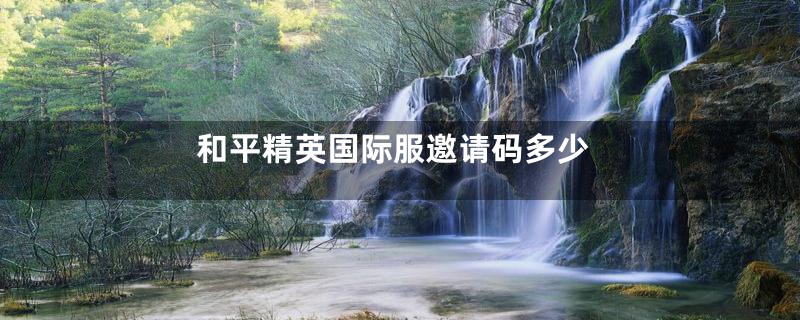 和平精英国际服邀请码多少