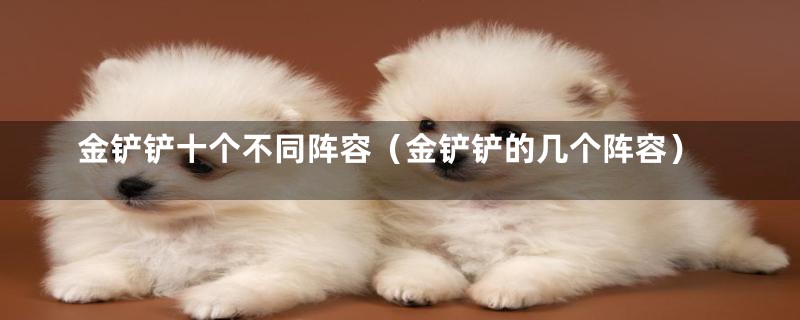 金铲铲十个不同阵容（金铲铲的几个阵容）