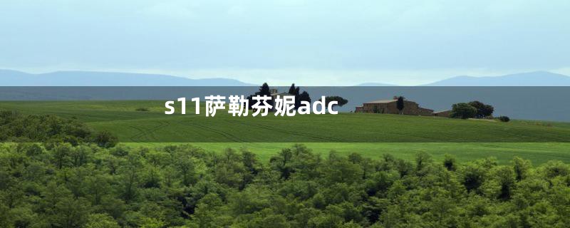 s11萨勒芬妮adc