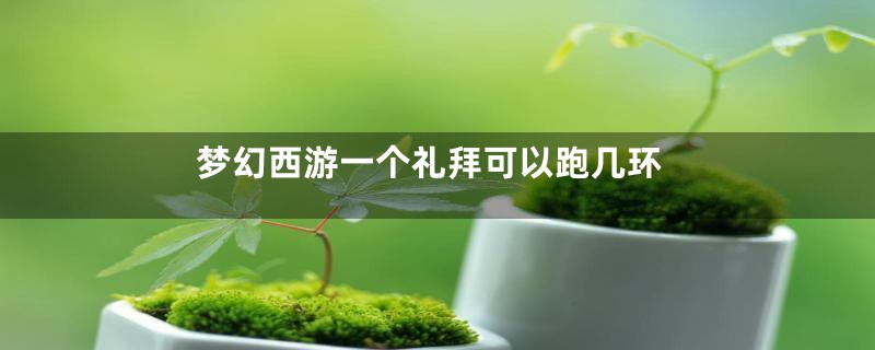 梦幻西游一个礼拜可以跑几环