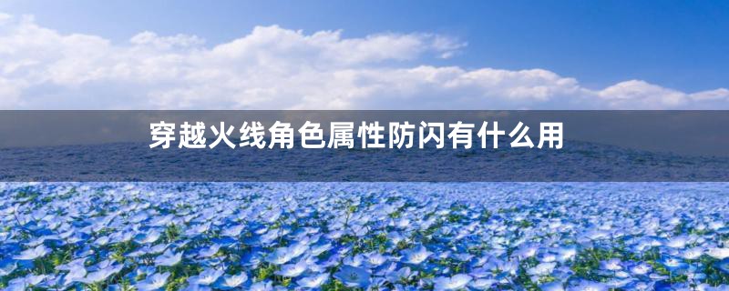 穿越火线角色属性防闪有什么用