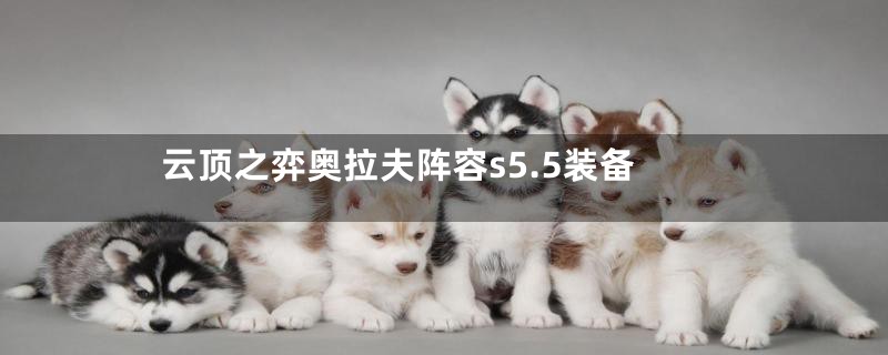 云顶之弈奥拉夫阵容s5.5装备
