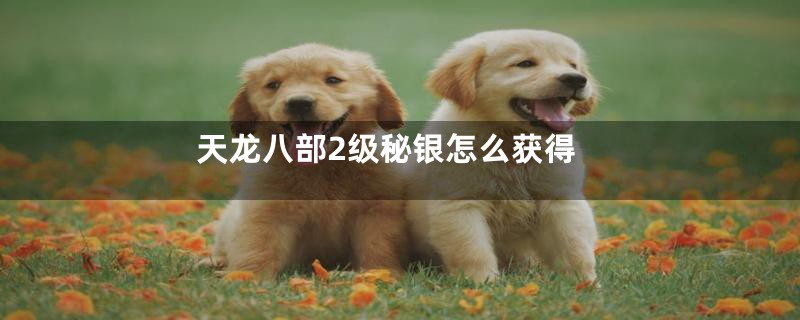 天龙八部2级秘银怎么获得