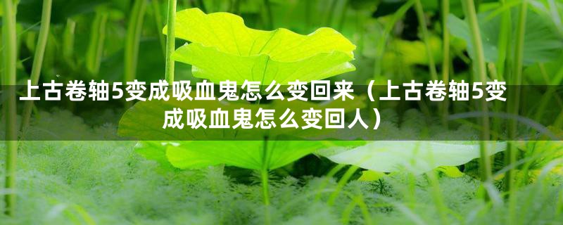 上古卷轴5变成吸血鬼怎么变回来(上古卷轴5变成吸血鬼怎么变回人)