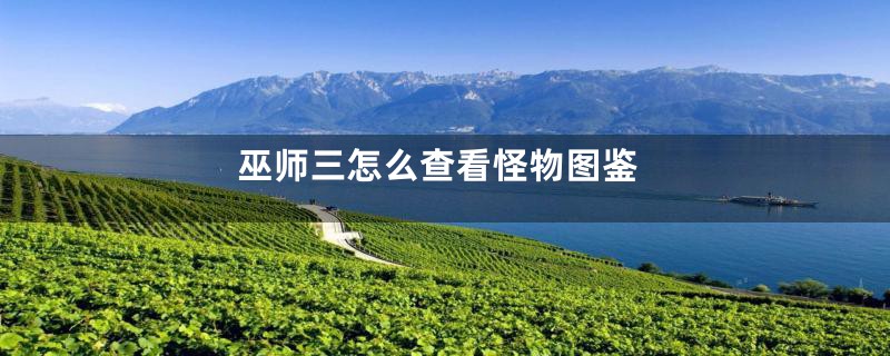巫师三怎么查看怪物图鉴