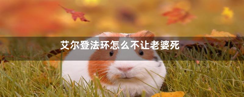 艾尔登法环怎么不让老婆死