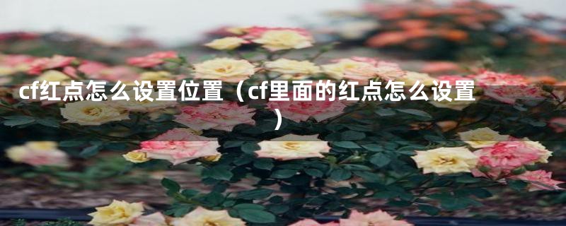 cf红点怎么设置位置(cf里面的红点怎么设置)