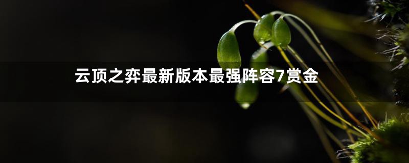 云顶之弈最新版本最强阵容7赏金