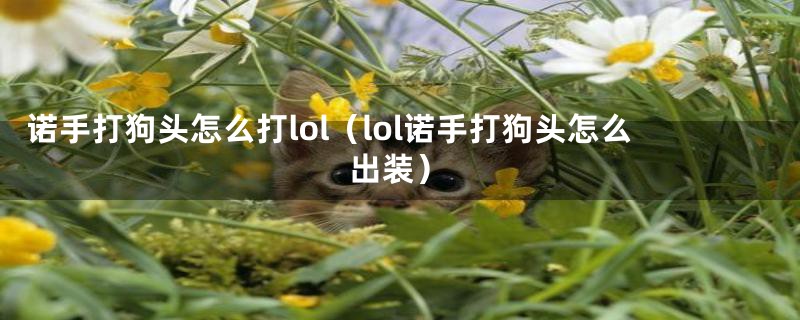 诺手打狗头怎么打lol（lol诺手打狗头怎么出装）