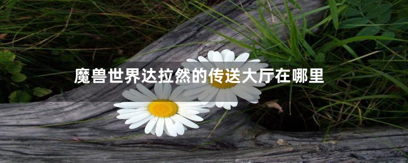 魔兽世界达拉然的传送大厅在哪里